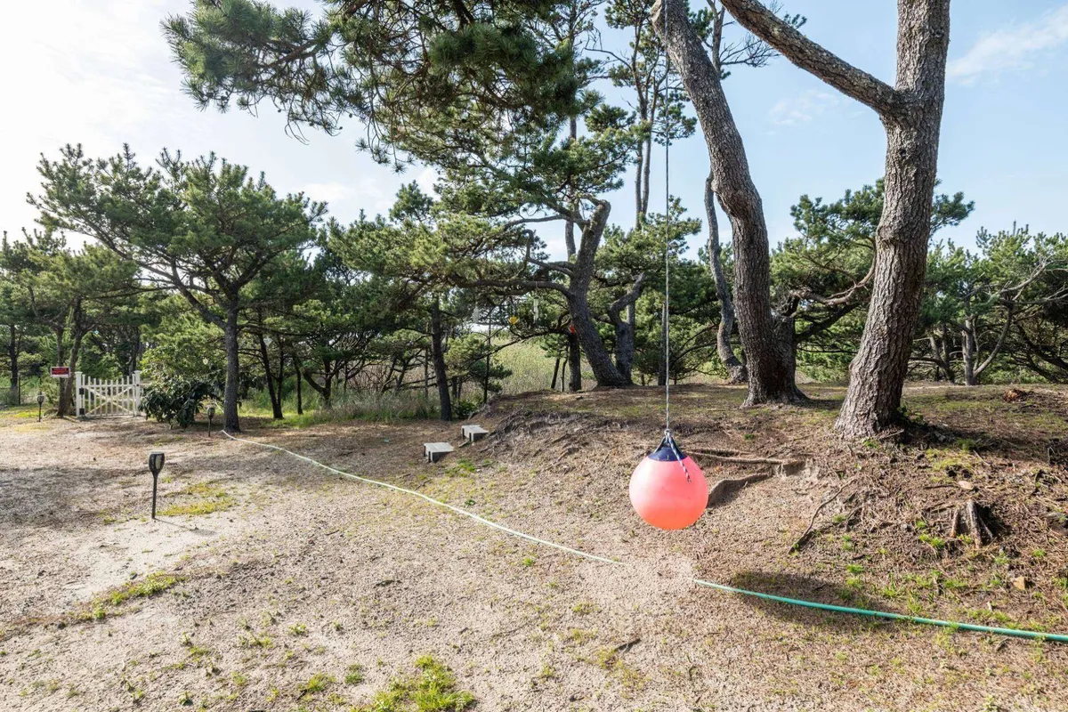 A playful scene of a swinging pink ball under tall pine trees, with a gravel path winding through the forest. The setting evokes joyful exploration and the proximity of nature trails right outside the property.