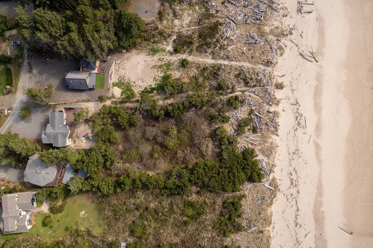 A peaceful view of the expansive beach with driftwood, nearby forest, and scattered houses. The open shoreline invites families to walk, search for treasures, and spot wildlife, with the natural beauty of Oregon's coast in the backdrop.